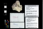 Foto (Objekt + Etikett) von Pithonoton sp.  (NHMW-GEO-2014-0194-0848)